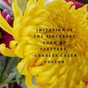 imitation is flattery charles caleb colton quote