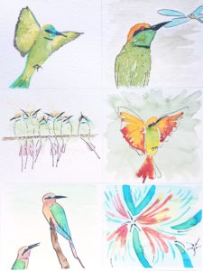 Green bee-eater styles in watercolor and ink
