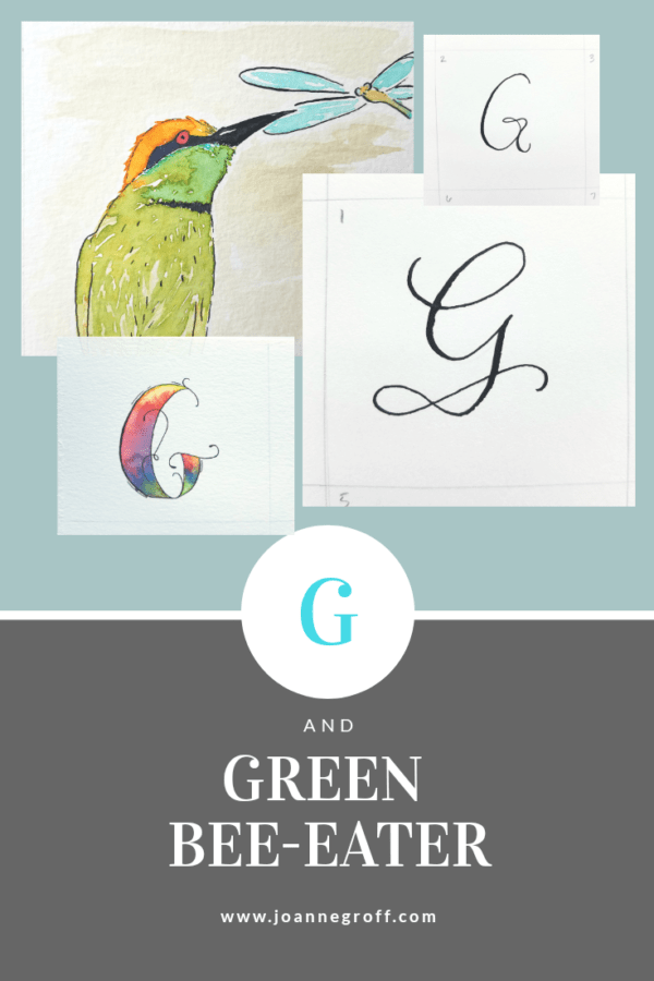 G and Green bee-eater, a watercolor and hand lettering style study