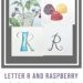 Letter R and Raspberry Study Pin