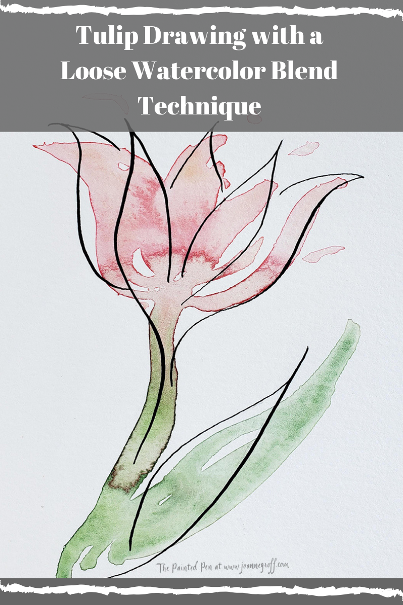 tulip drawing with a loose watercolor blend technique