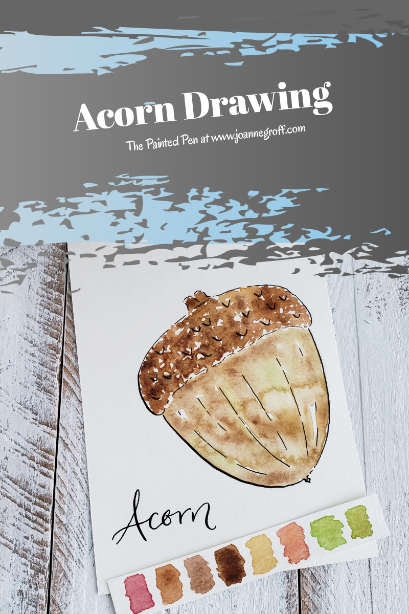 acorn drawing tutorial