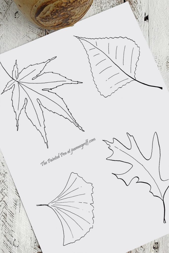 leaf drawings maple leaf, oak leaf, ginseng leaf, birch leaf