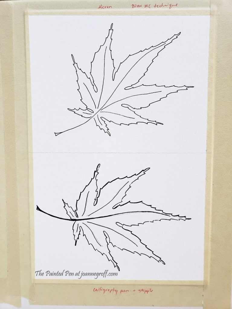 maple leaf illustrations with micron pen, top, and calligraphy pen, bottom