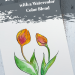 Drawing Tulips Cover Image