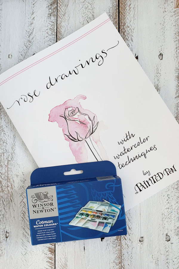 rose drawing workbook with watercolor set