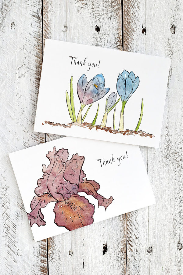 Retired Thank you cards by The Painted Pen
