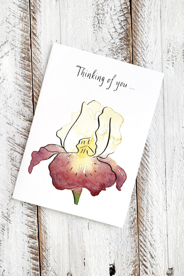 Retired Iris Thinking of you card