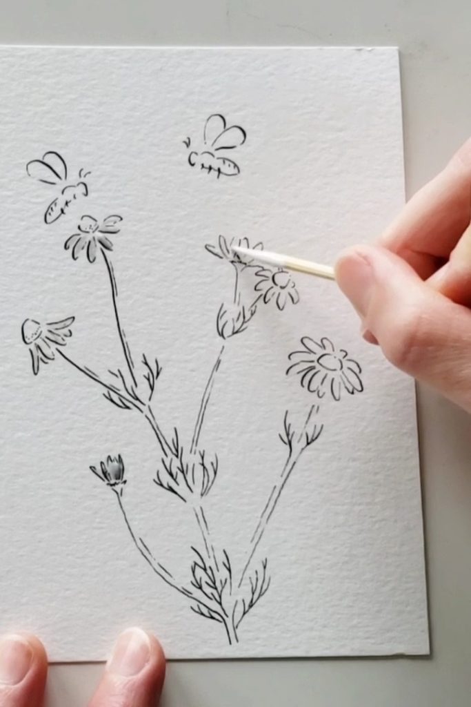 How to Draw Bees and Chamomile - The Painted Pen