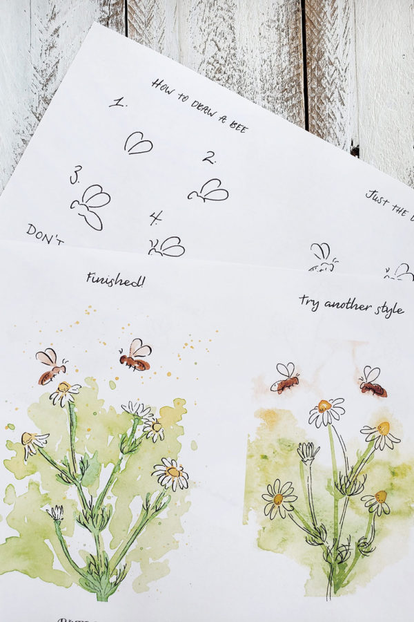 Draw bees and chamomile worksheets