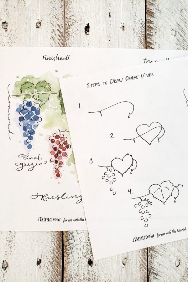 Draw grape vines worksheet set