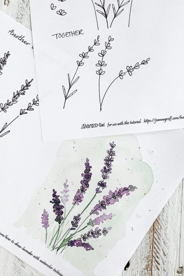 Drawing lavender worksheets