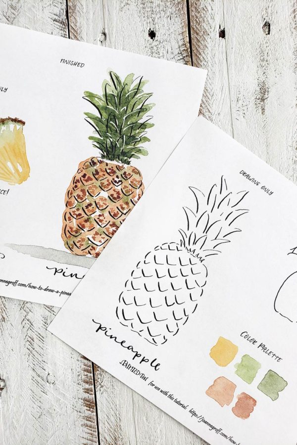 How to draw a pineapple worksheet set