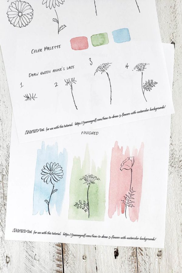 3 flower drawings worksheet set
