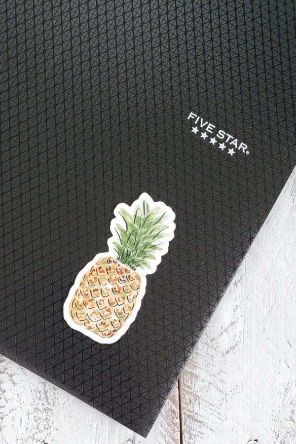 pineapple sticker on a folder
