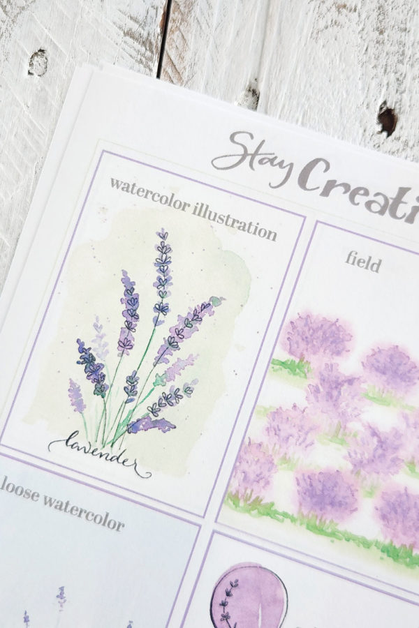 lavender drawing