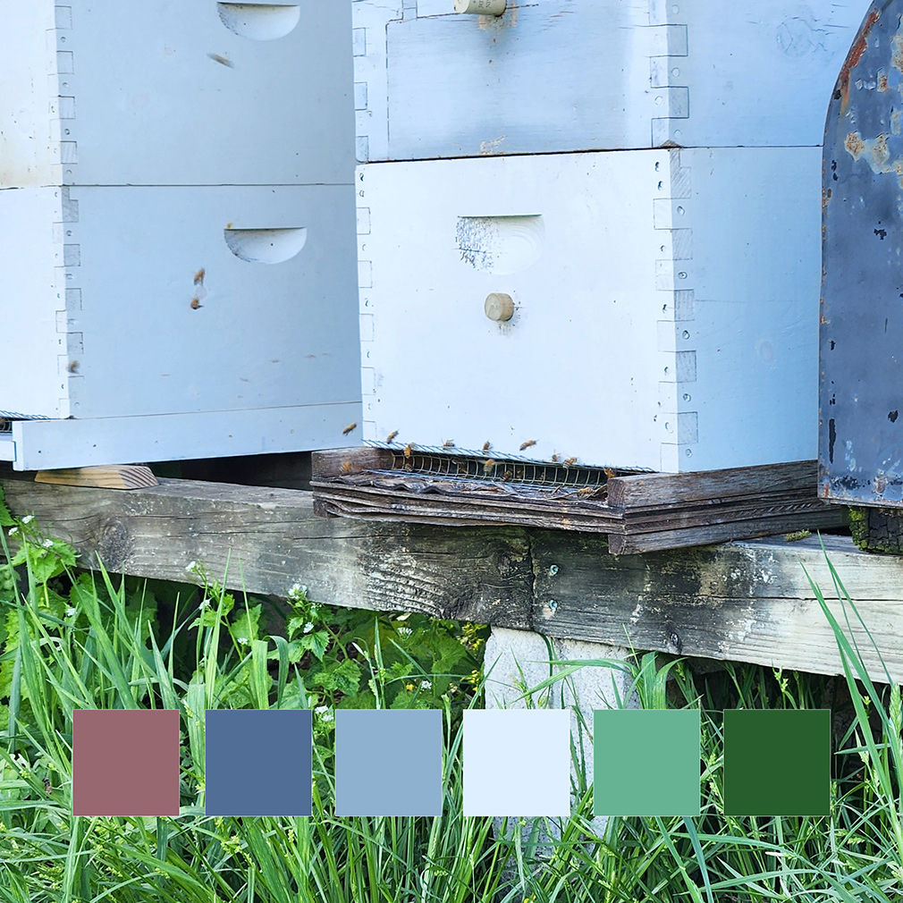 beehive color palette