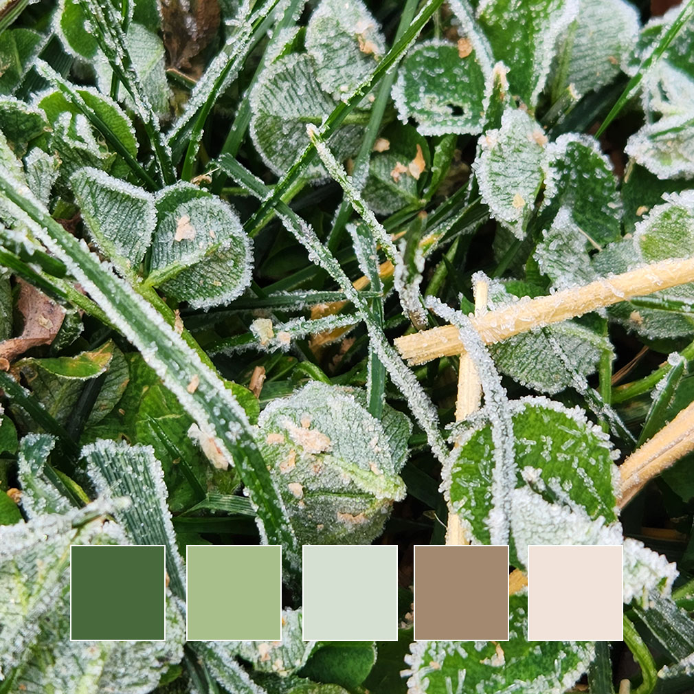 frosty clover color palette