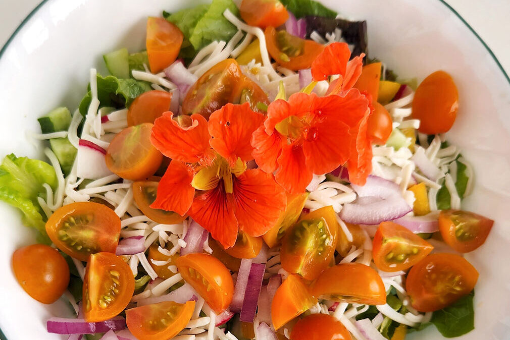 salad with nasturtium