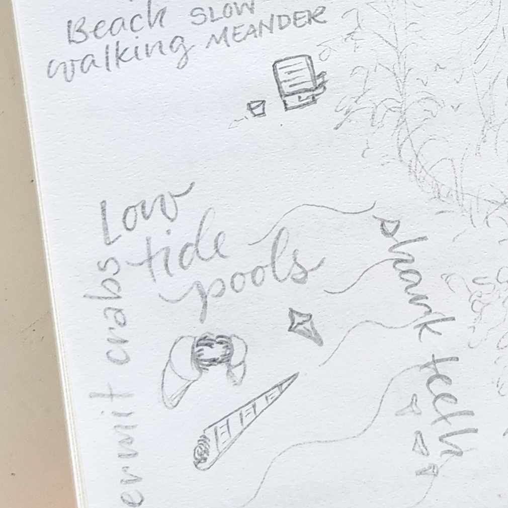 low tide pool sketches